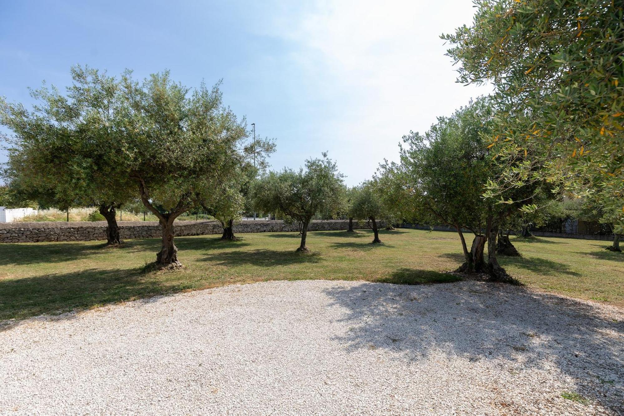 Appartamento Palace New! *