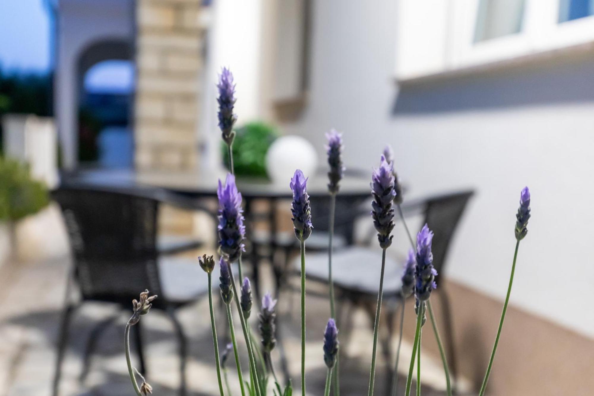 Palace New! Appartamento Porec