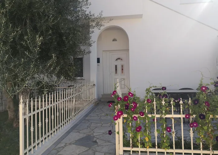 Palace Apartments