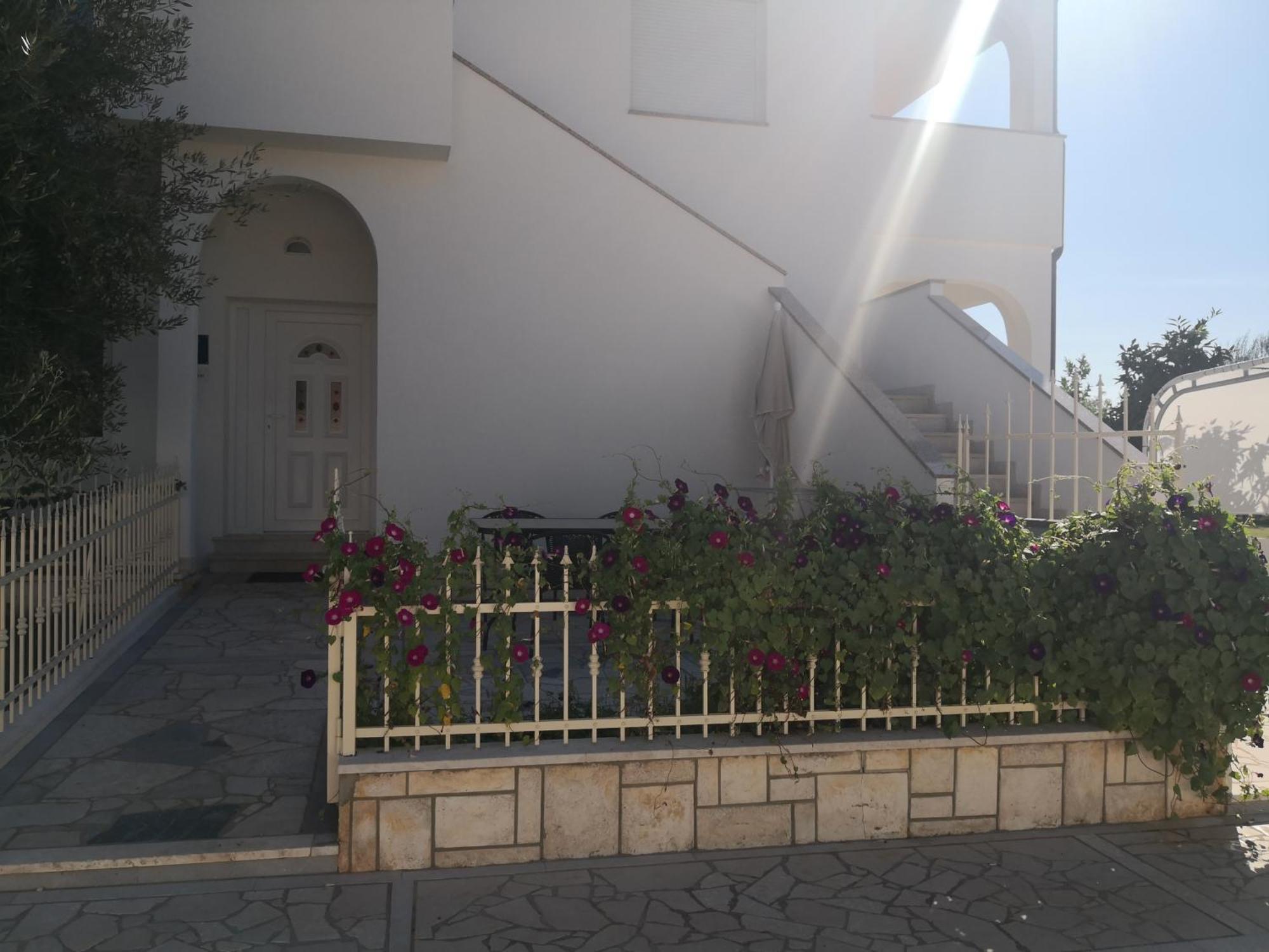 Palace Appartamento *