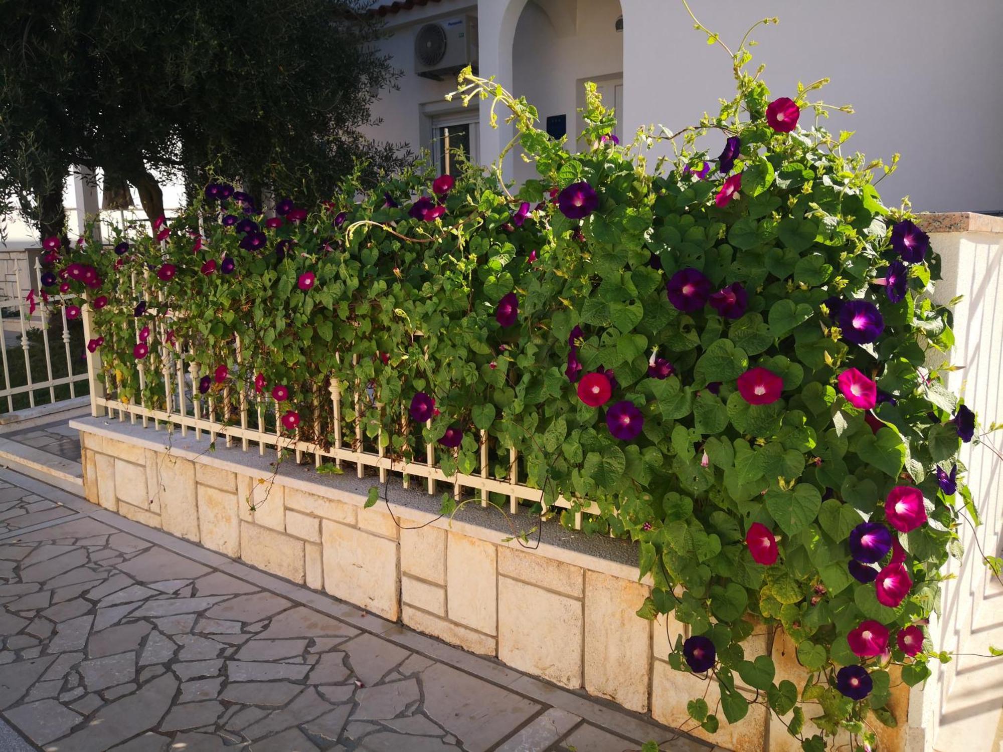 Palace Appartamento Porec